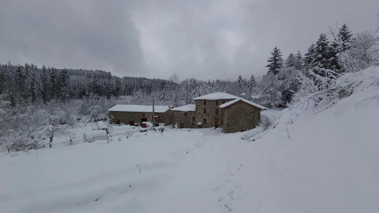 Gite Du Moulin Chenelette Holiday home